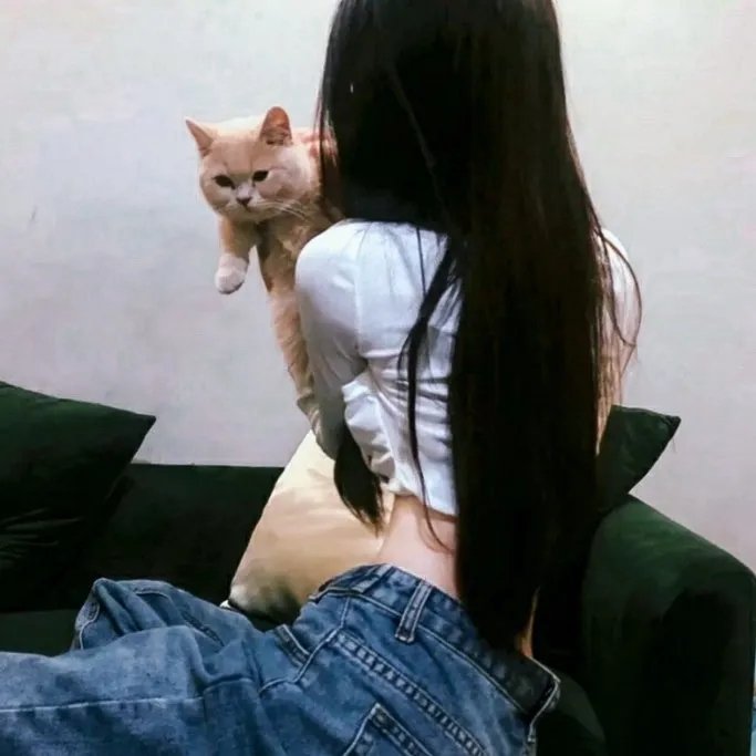 锦绣未央